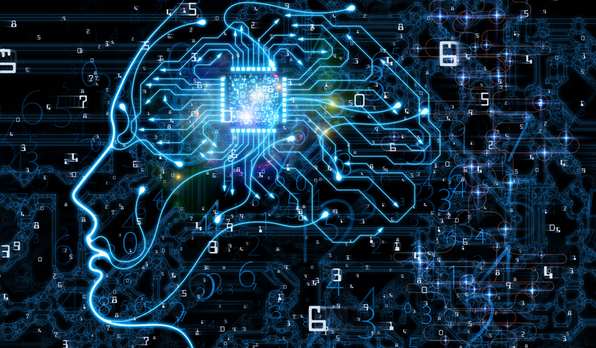 Neural Network